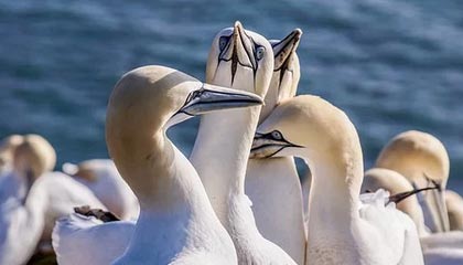 WTT总决赛 王曼昱4-0战胜陈熠晋级女单决赛